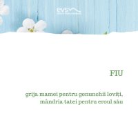 1581972941-evs