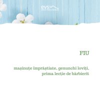 1581972970-evs