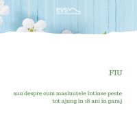 1581972999-evs