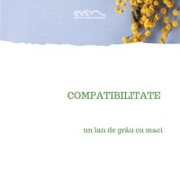 1581973858-evs