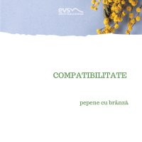 1581973900-evs