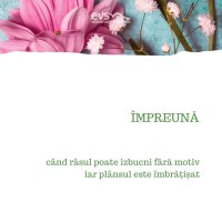1581979286-evs