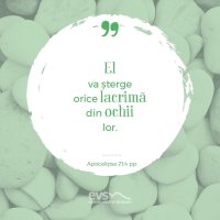 1537427299-evs