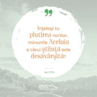 1537427905-evs