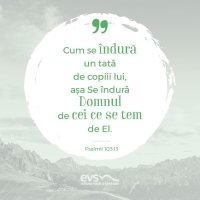 1537428052-evs