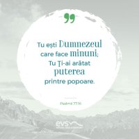 1537428862-evs