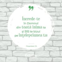 1537428929-evs