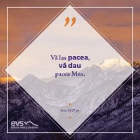 1537767933-evs