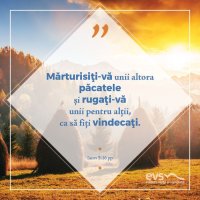 1537768478-evs