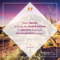 1537768984-evs