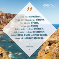 1537769438-evs
