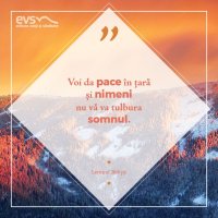 1537769533-evs