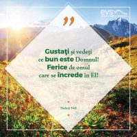 1537770698-evs