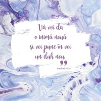 1537776468-evs