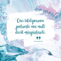 1537776846-evs