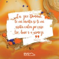 1537776991-evs