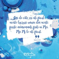 1537777115-evs