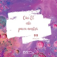 1537777176-evs
