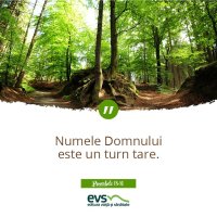 1537855784-evs