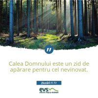 1537856014-evs
