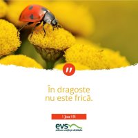 1537856083-evs