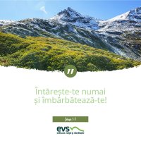 1537856146-evs