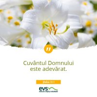 1537857906-evs