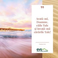 1537859608-evs
