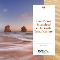 1537860292-evs
