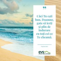1537860956-evs