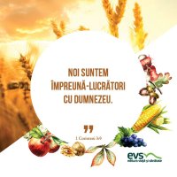 1537861018-evs