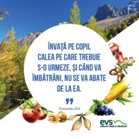1537864242-evs