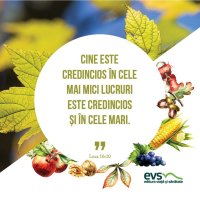 1537865754-evs