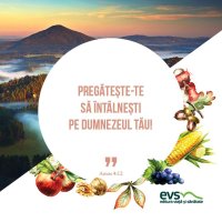 1537865822-evs