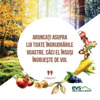1537865897-evs