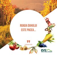 1537866017-evs
