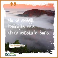 1543859546-evs
