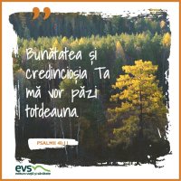 1543859775-evs