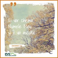1543859839-evs