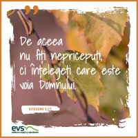 1543859923-evs
