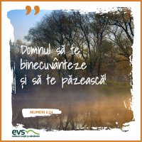 1543859979-evs