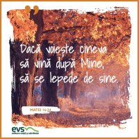 1543860719-evs