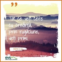 1543861489-evs