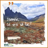 1543861681-evs