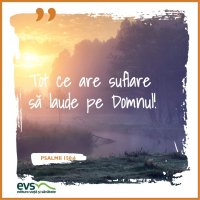 1543861985-evs