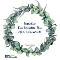 1546097826-evs