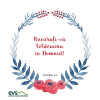 1546098396-evs