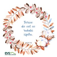 1546098505-evs