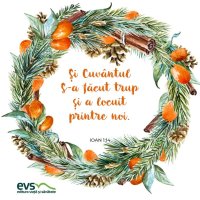 1546098722-evs