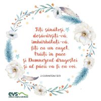 1546099078-evs